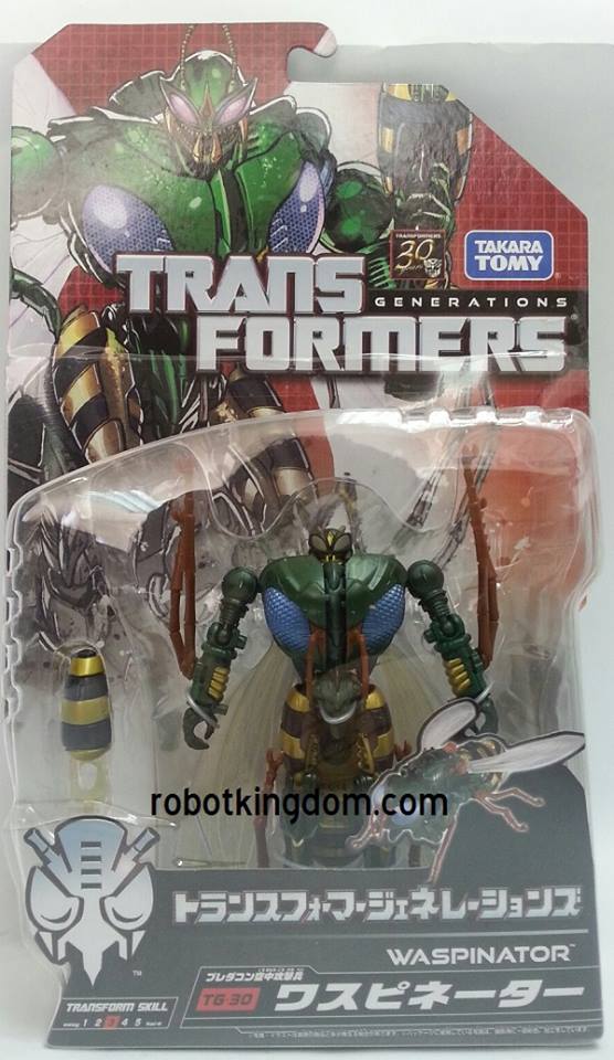 Transformers Generations TG-30 Waspinator and TG-31 Rhinox